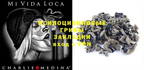 сатива Фурманов