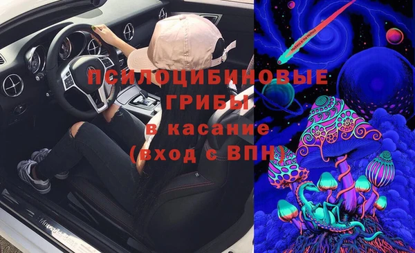 сатива Фурманов