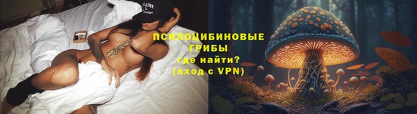 стаф Хадыженск