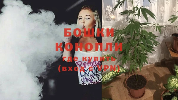 стаф Хадыженск
