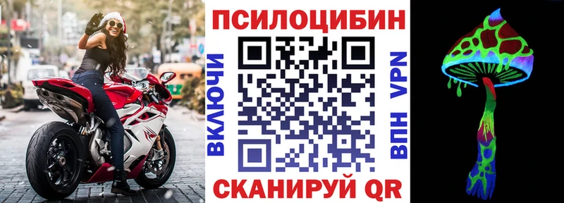 Купить где  Городец  Псилоцибиновые грибы мицелий 